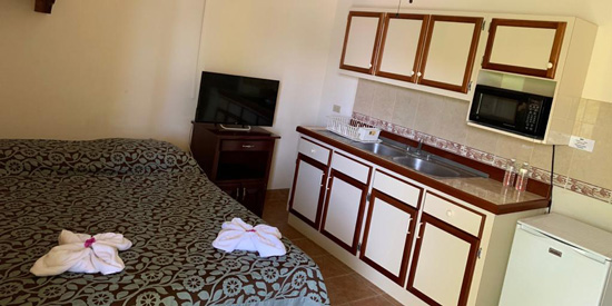 Lower flat front room