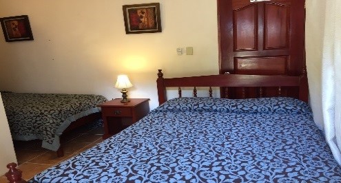 Lower flat Rare room